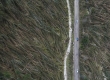 04-11-2018 - Il disastro ambientale nell'Altipiano di Asiago