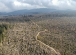 DCIM/100MEDIA/DJI_0198.JPG