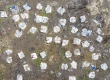 dji_0043-drone-jungle-copia