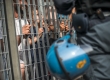 11-06-2019. Bologna, via mattei. Presidio per protestare contro la chiusura dell'Hub e il trasferimento dei/delle migranti. Sul posto celere e polizia. Foto Michele Lapini/eikon