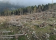 DCIM/100MEDIA/DJI_0024.JPG