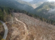 DCIM/100MEDIA/DJI_0051.JPG