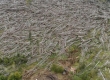 DCIM/100MEDIA/DJI_0241.JPG