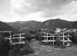 DSC7197-copy