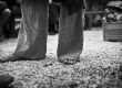 _DSC5907