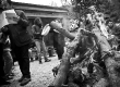 _DSC5936