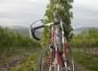 L'Eroica - Gaiole in Chianti - SI