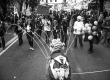 DSC9595-copia
