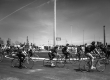 DSC9990-copia