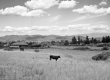 dsc2054