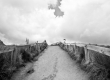 ecuador-steppa-copy
