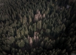 dji_0695-copia