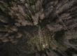 dji_0711-2-copia