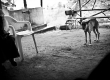 _DSC6360